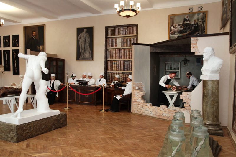 Анатомічний музей 1 01 1